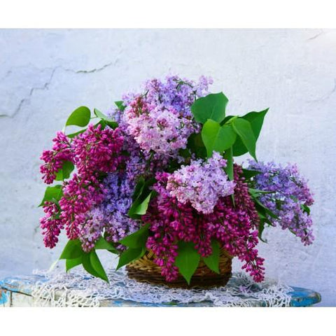 Lilacs and Violets 10-Pack 3 Layer Votive