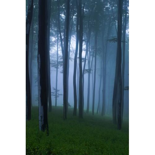 Patchouli Woods 10-Pack 3 Layer Votive