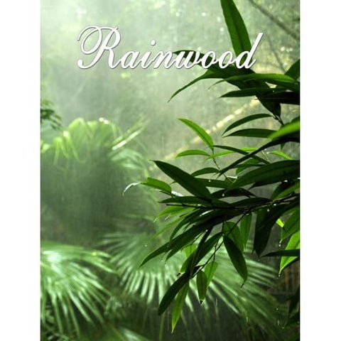 Rainwood 10-Pack 3 Layer Votive